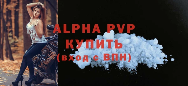 гашик Новодвинск