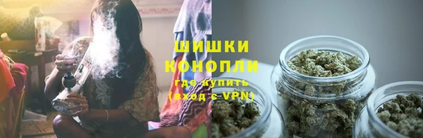 a pvp Новозыбков