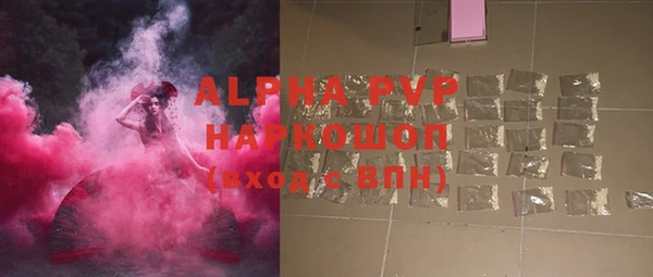a pvp Новозыбков