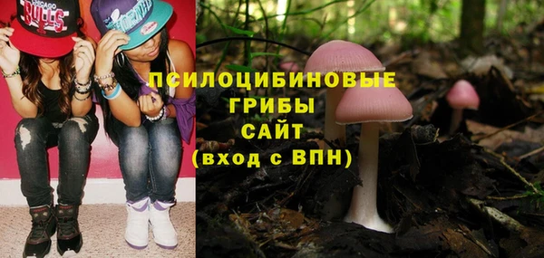 PSILOCYBIN Горнозаводск