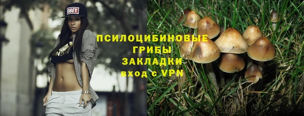 гашик Новодвинск