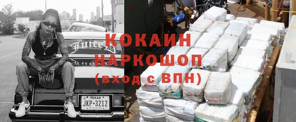 a pvp Новозыбков