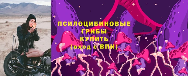 a pvp Новозыбков