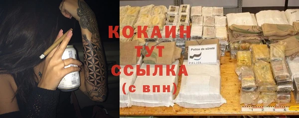гашик Новодвинск