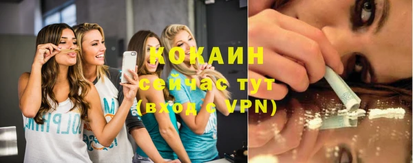 a pvp Новозыбков