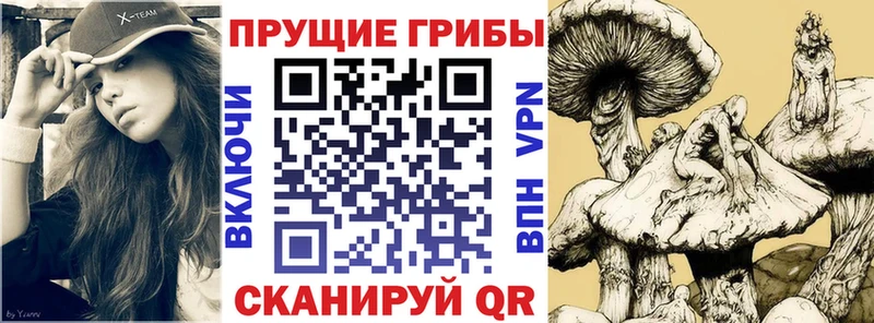 где купить наркотик  Лянтор  Псилоцибиновые грибы MAGIC MUSHROOMS 
