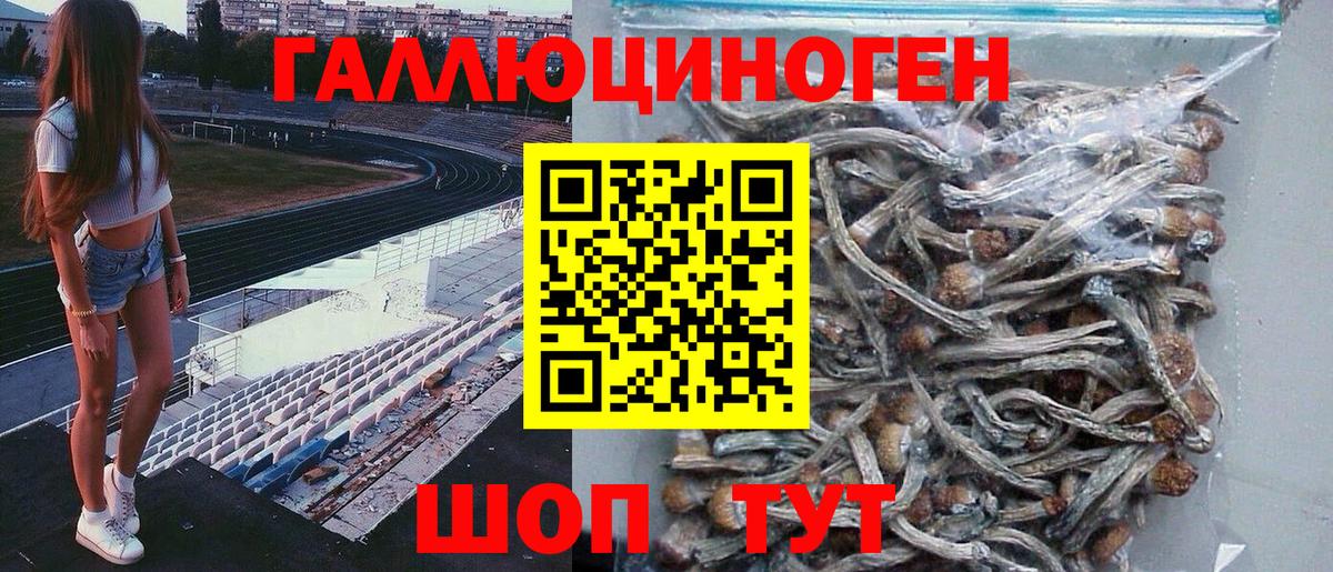 закладки  Псилоцибиновые грибы Psilocybe  Вход с VPN  Лянтор 