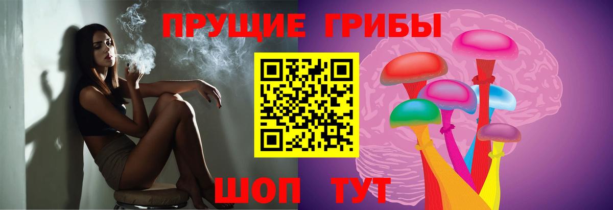 Псилоцибиновые грибы Cubensis Лянтор