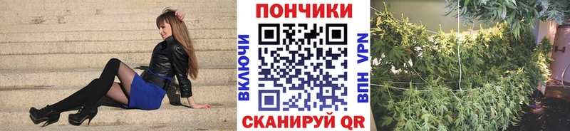 мориарти официальный сайт  Лянтор  Бошки Шишки марихуана  купить наркотики сайты 